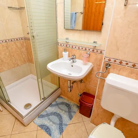 Aurel 罗戈兹尼察