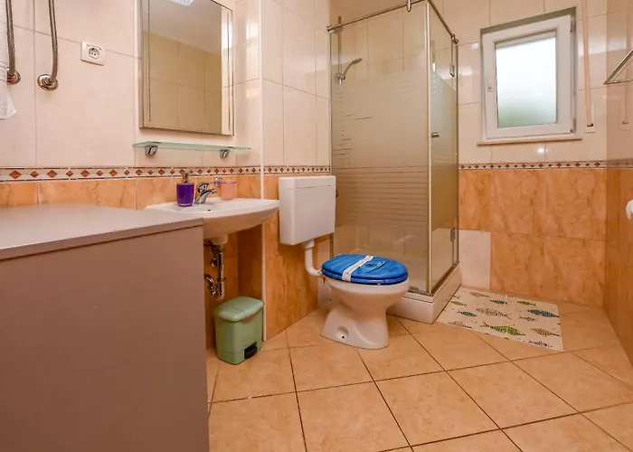 Aurel 公寓 罗戈兹尼察