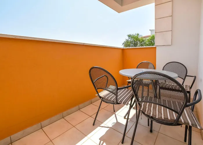 Aurel 罗戈兹尼察