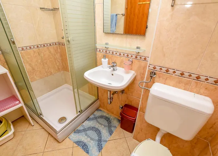 Aurel 罗戈兹尼察